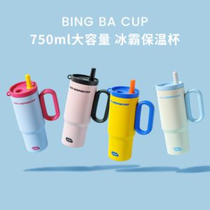 750ML STAINLESS STEEL TUMBLER WITH HANDLE AND STRAW